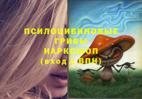 шишки Кедровый
