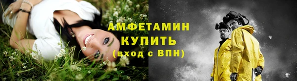 дмт Новозыбков