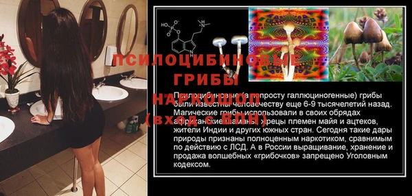 кокс Дмитриев