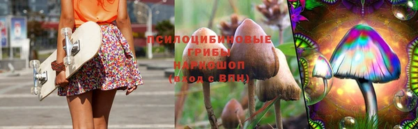 дмт Новозыбков