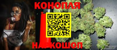 mdpv Дубна