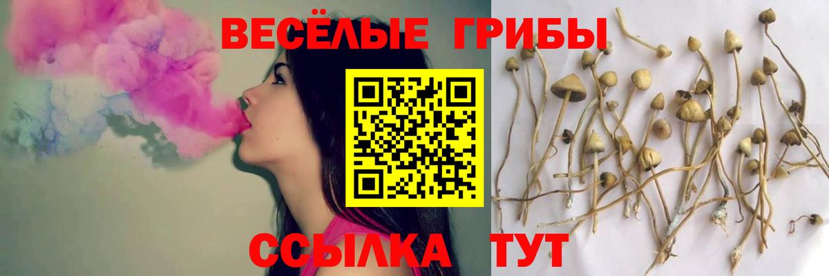 Псилоцибиновые грибы мицелий  купить наркотик  Кумертау  Вход с VPN 